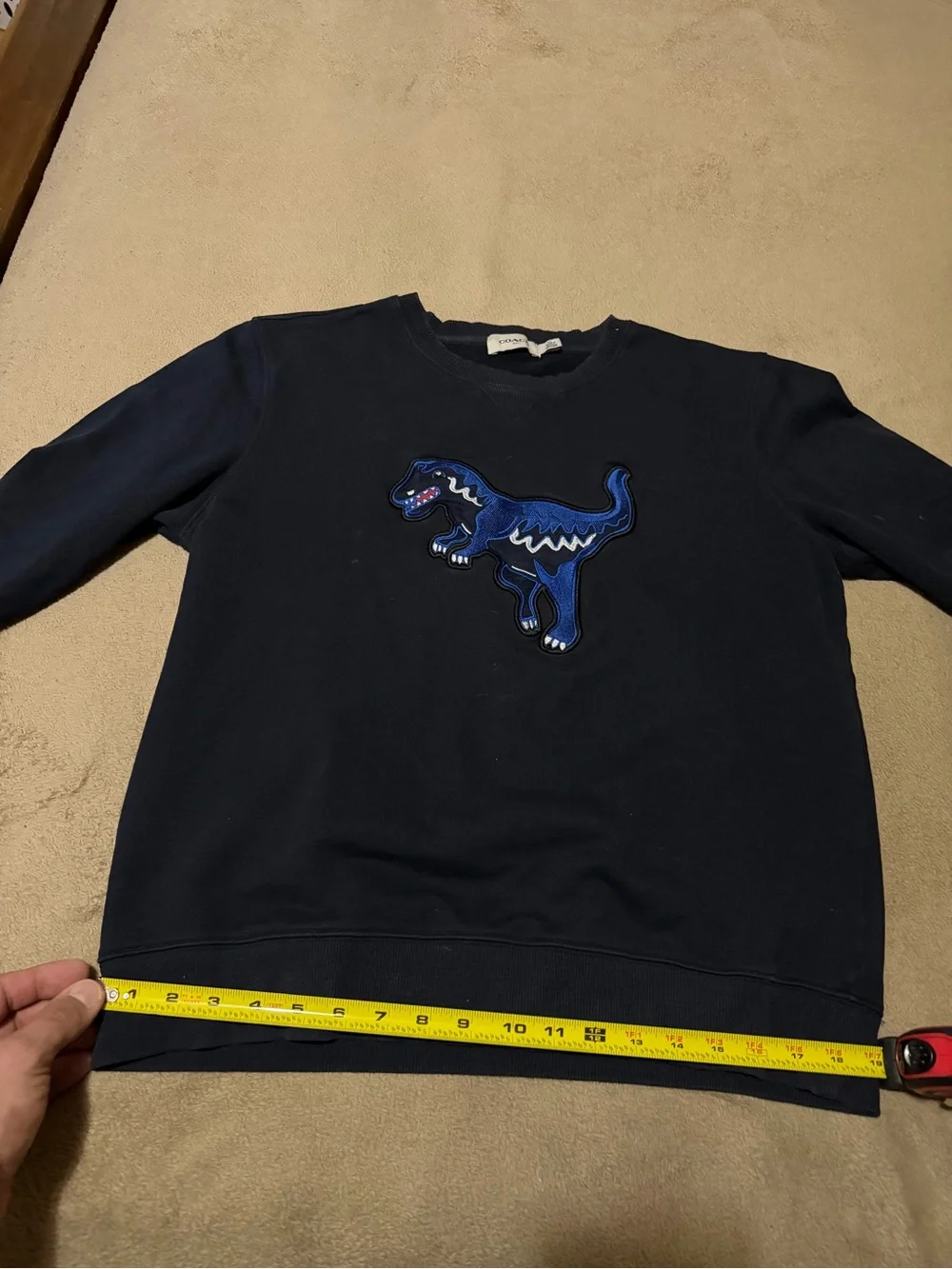 Coach sweatshirt everyday look